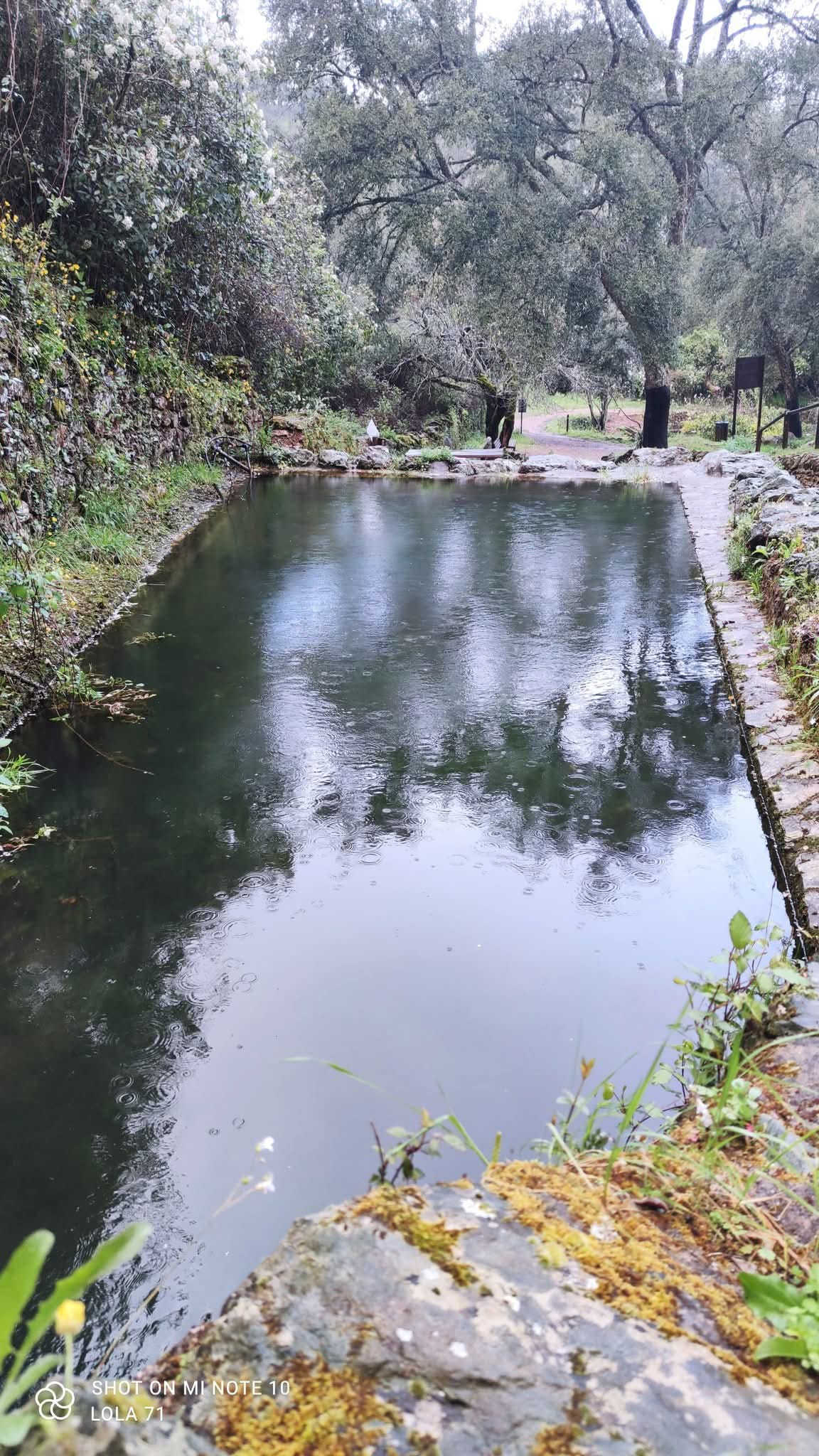 Vegetación y paisaje serrano