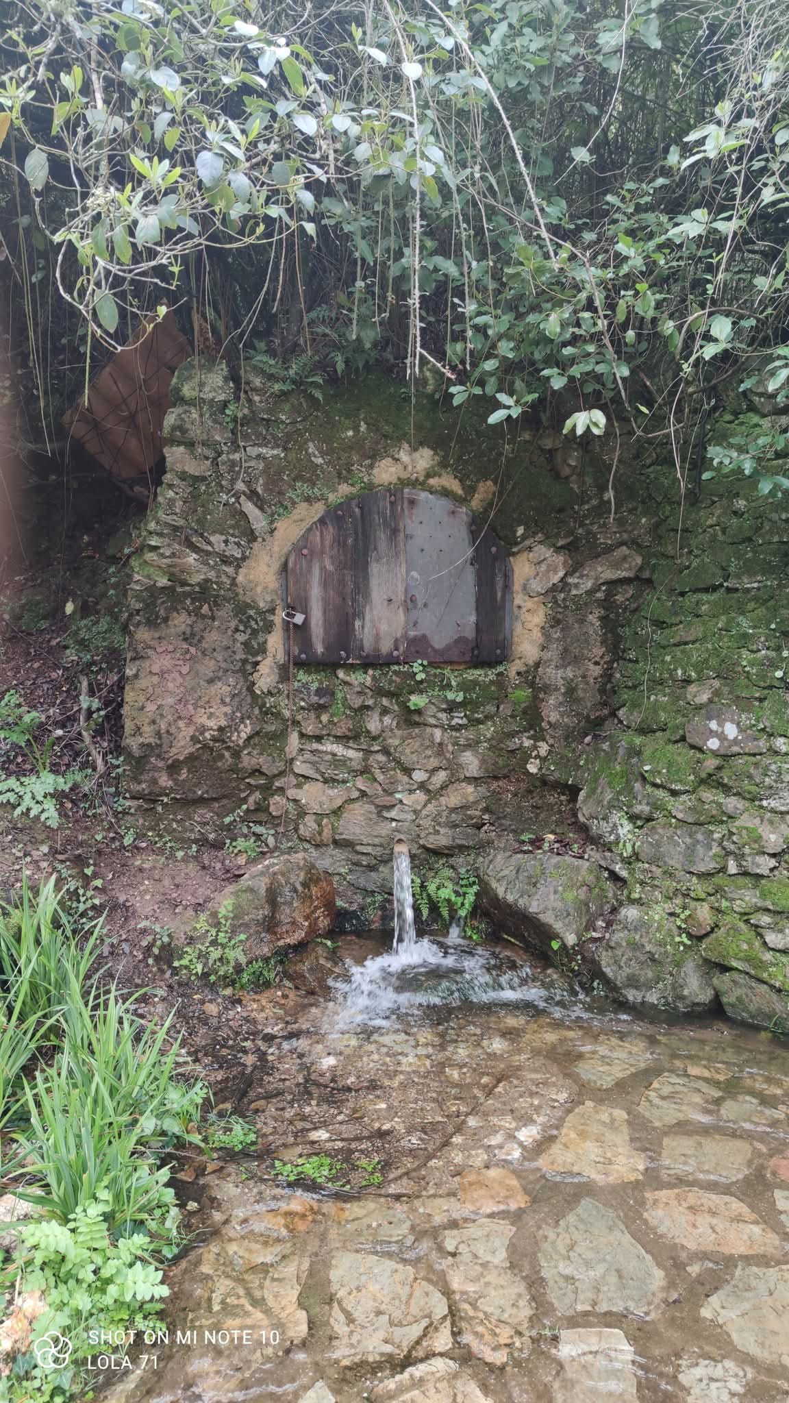 Fuente entre vegetación