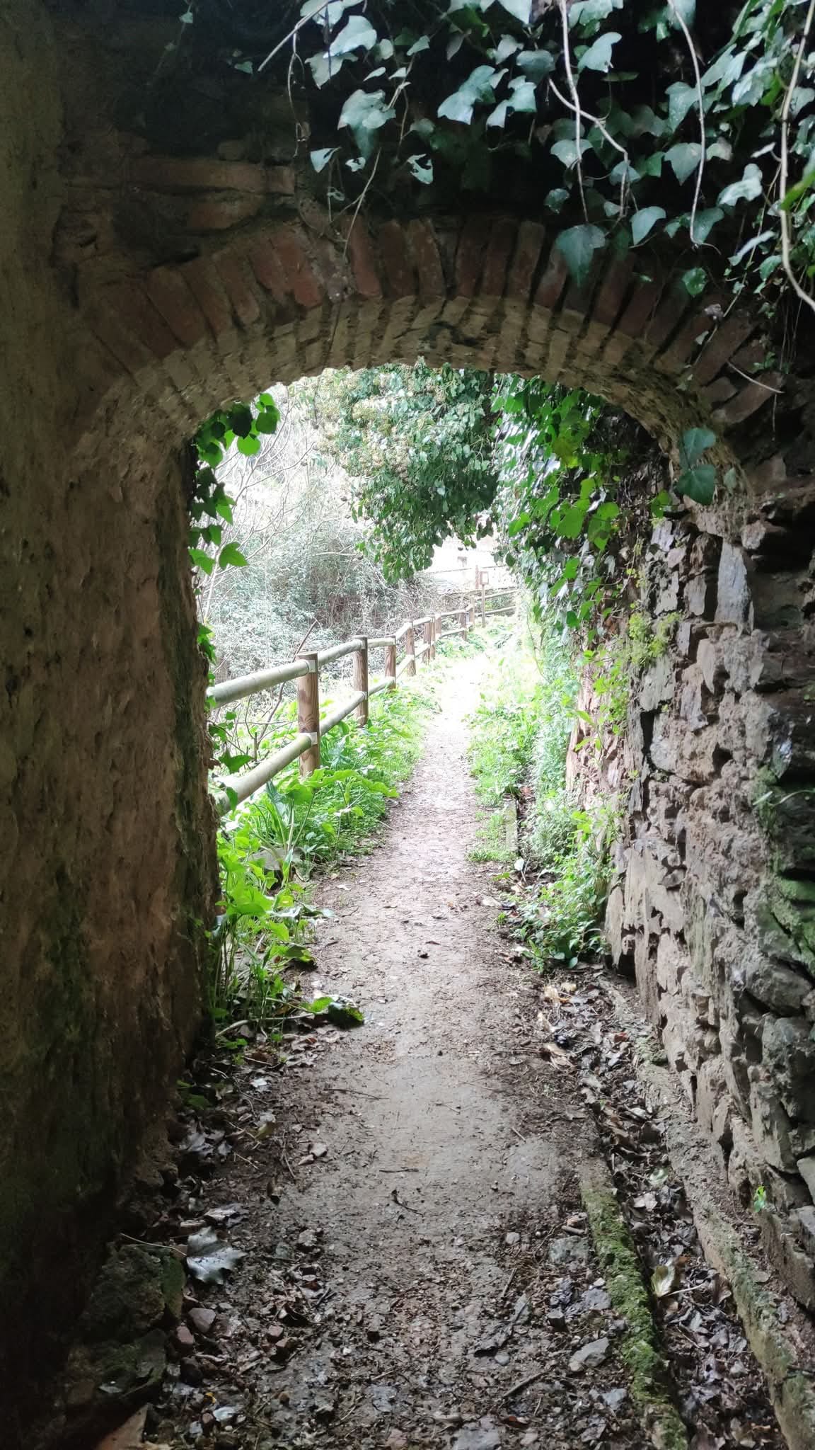 Sendero con arco de piedra